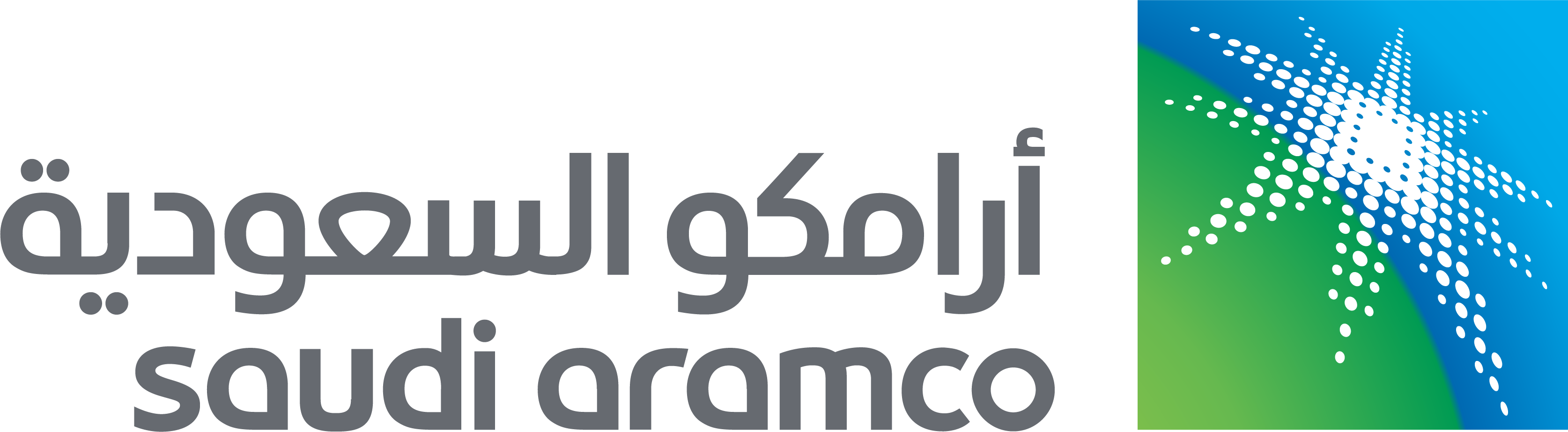 ارامكو السعودية