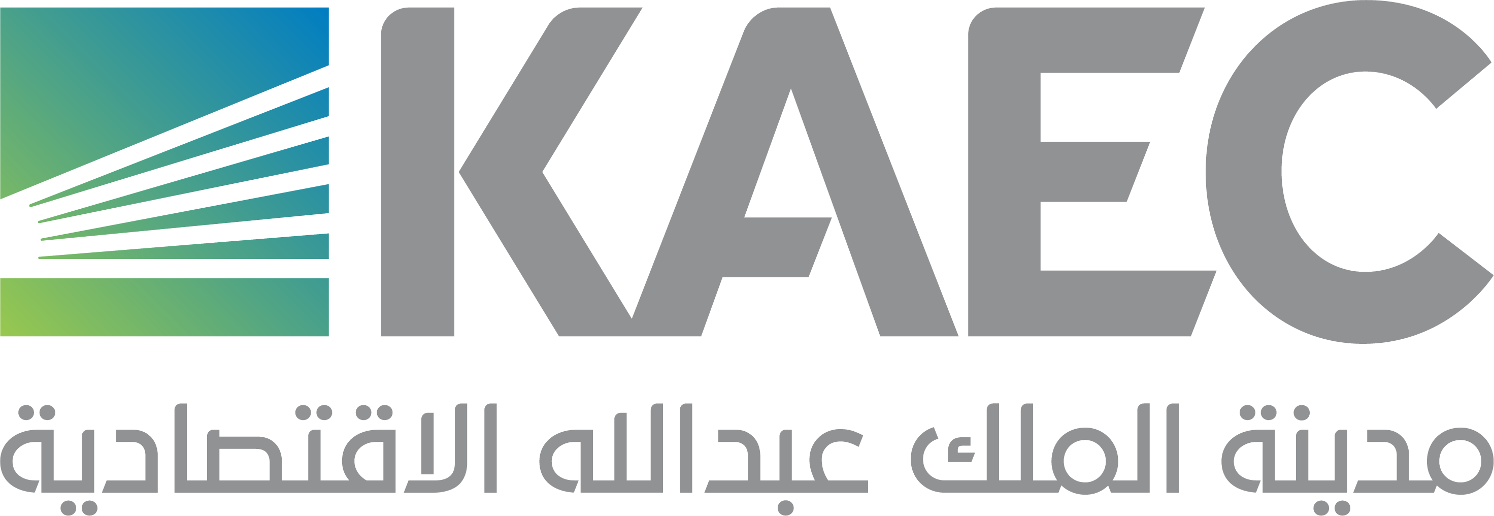 مدينة الملك عبدلله الاقتصادية